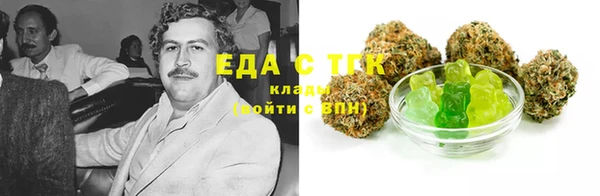 СК Алексин