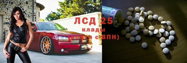 СК Алексин