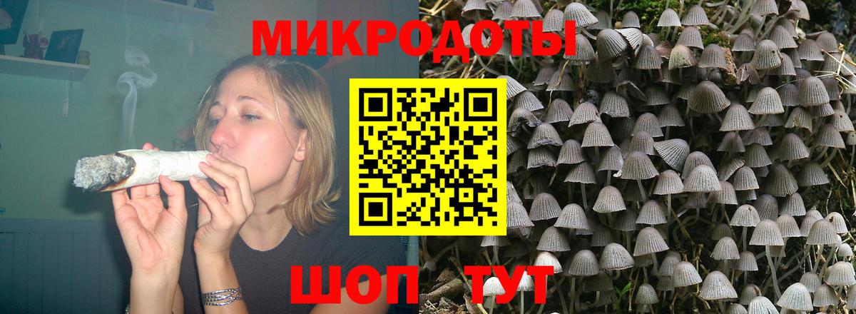 Псилоцибиновые грибы Psilocybine cubensis  Вход с VPN  Петровск 